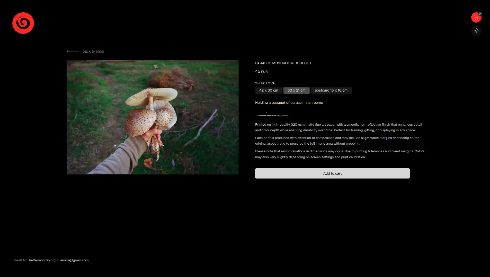 Mockup layout of a photography print shop item page featuring a photo print, product details, and purchase options