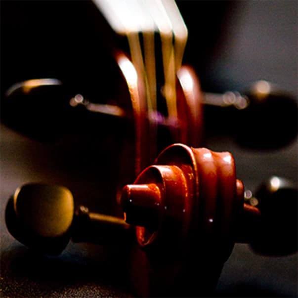 Violin fragment with visible strings and wooden texture in detail